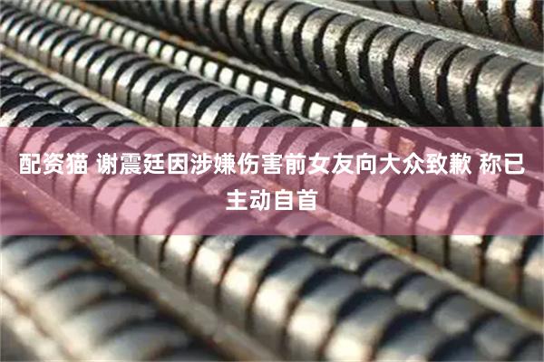 配资猫 谢震廷因涉嫌伤害前女友向大众致歉 称已主动自首