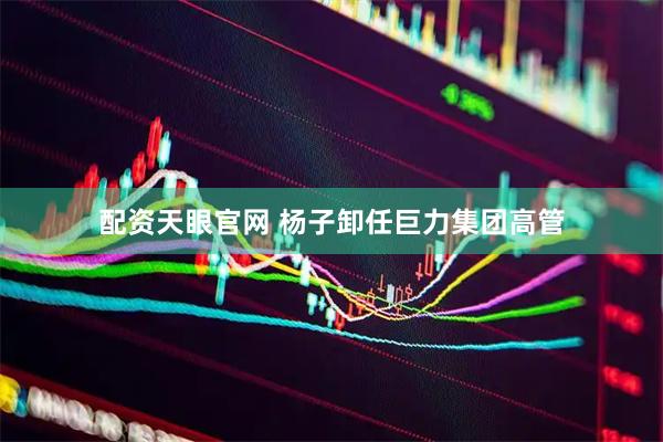 配资天眼官网 杨子卸任巨力集团高管